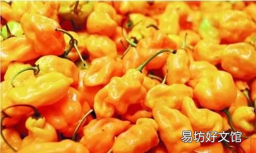 炒一百个辣椒都不辣的抽烟机 比辣椒更辣的是什么