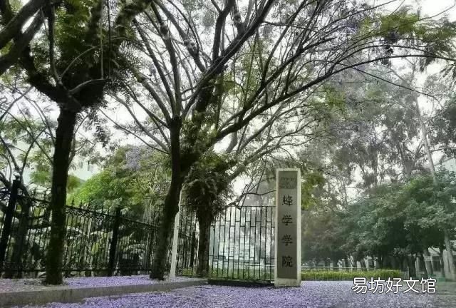 发酵的蜂蜜还能吃吗
