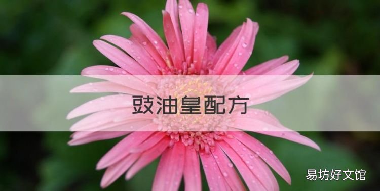 豉油皇配方,粤菜的豉油皇怎么做