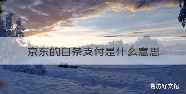 微信白条支付是什么意思,京东的白条支付是什么意思