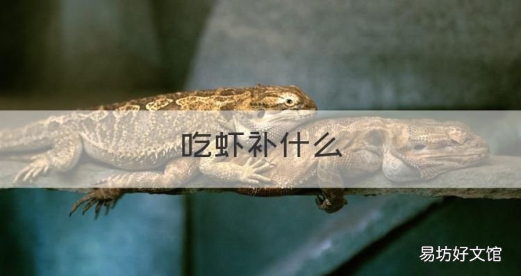 吃虾补什么,吃虾的好处和功效