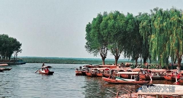 白洋淀是北京最大的淡水湖吗,白洋淀湖泊介绍