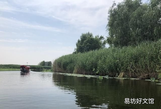 白洋淀是北京最大的淡水湖吗,白洋淀湖泊介绍