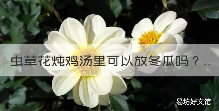 虫草花炖鸡汤里可以放冬瓜，虫草花可以和海带冬瓜一起吃吗