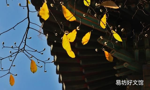 冬季从哪一天开始到哪一天结束,冬季奥运会哪一天开始