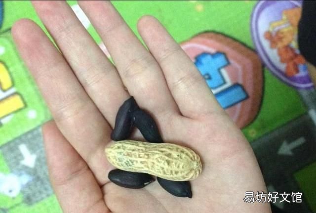 最不想见到的六种食材,有史以来让人无法直视的三种食物