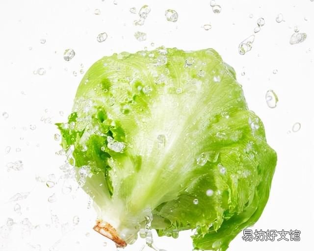 生菜的正确洗法