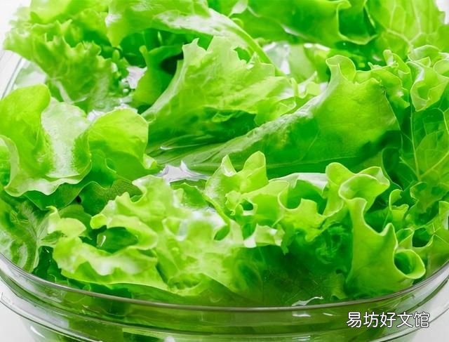 生菜的正确洗法
