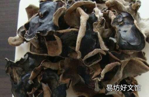 怎么种植毛木耳