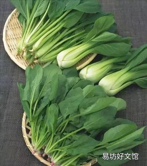 蔬菜不用冰箱保鲜方法,冰箱保鲜室的蔬菜结冰怎么回事