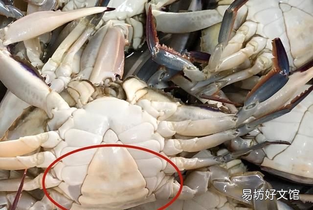 买螃蟹用什么肥最好 螃蟹怎么买才肥