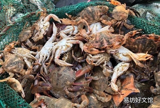 买螃蟹用什么肥最好 螃蟹怎么买才肥