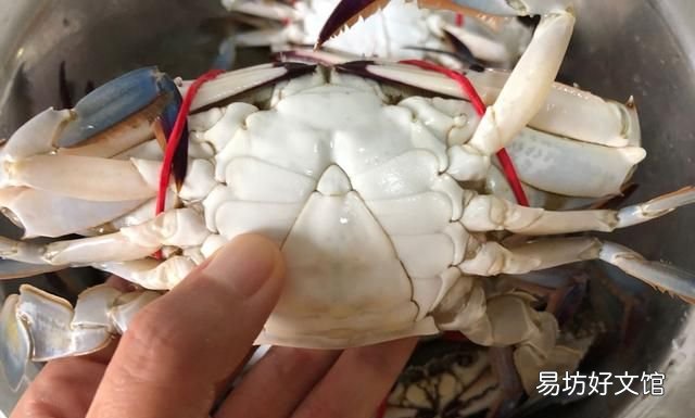 买螃蟹用什么肥最好 螃蟹怎么买才肥
