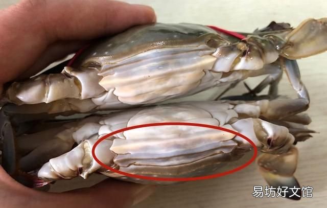 买螃蟹用什么肥最好 螃蟹怎么买才肥