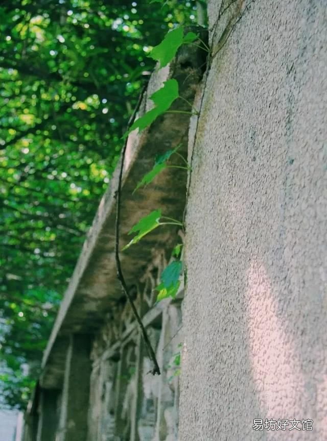 今天的疫情图 今天有点惊喜的图片