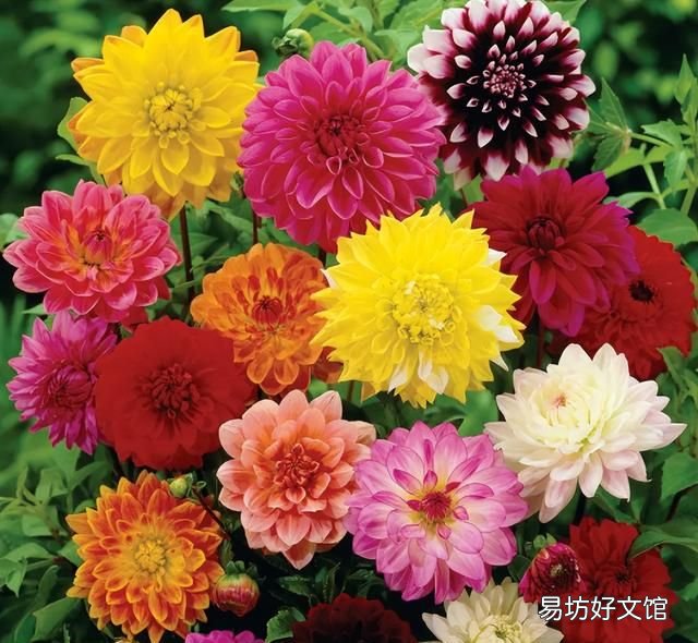 中秋佳节花好月圆人团圆下一句