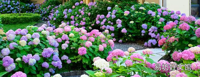 中秋佳节花好月圆人团圆下一句