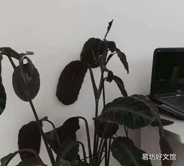 有没有一些外表看不懂,实则非常有内涵的网名女生