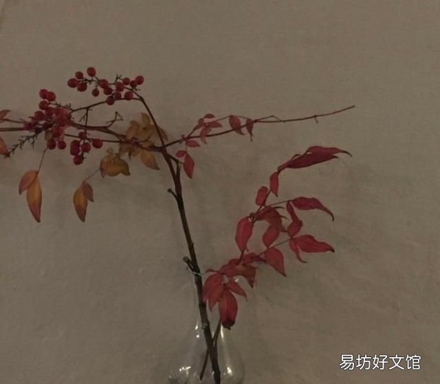 有没有一些外表看不懂,实则非常有内涵的网名女生