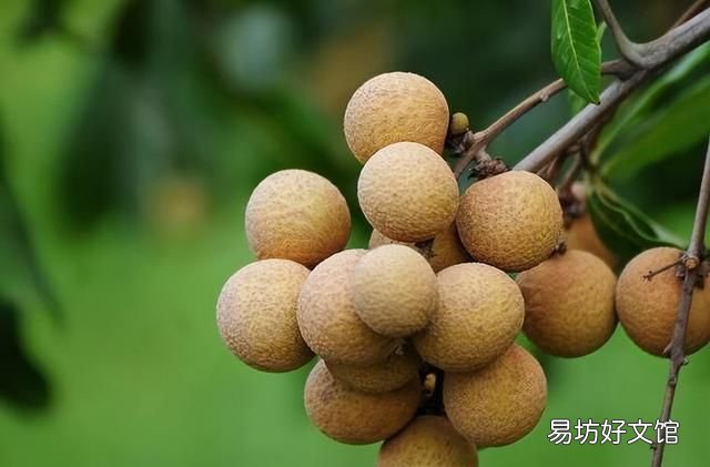 女性查出子宫肌瘤,哪些食物不建议多吃呢