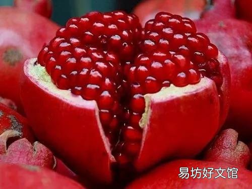 世界水果图片和名字大全 水果名称大全500种