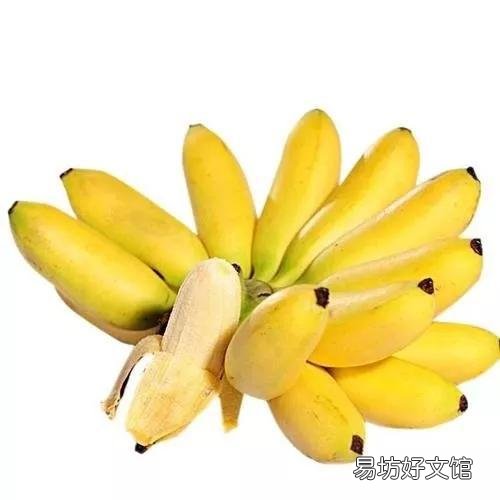 世界水果图片和名字大全 水果名称大全500种