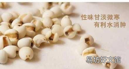 吃红豆薏米粥可以减肥吗 服用薏米究竟能不能减肥