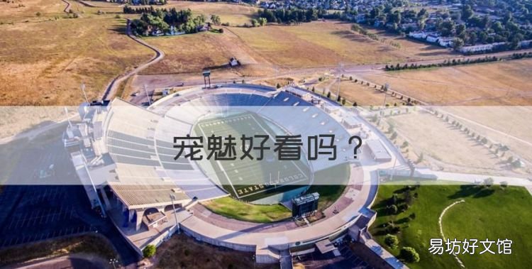 宠魅好看,如何评价《宠魅》这部网络小说呢