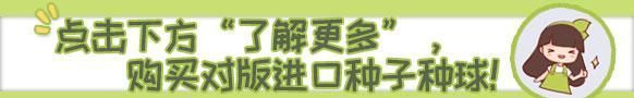 通风除甲醛是最简单有效的方法