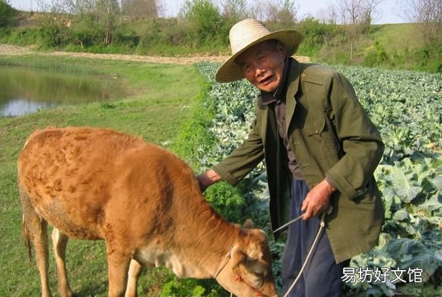 似此星辰非昨夜的下一句是什么