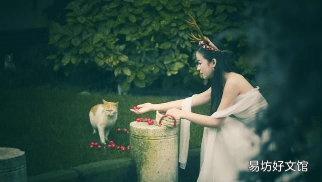 似此星辰非昨夜的下一句是什么