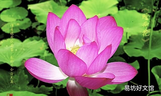 似此星辰非昨夜的下一句是什么