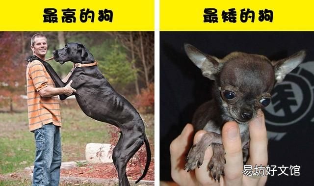6个关于世上不同事物的极端比较