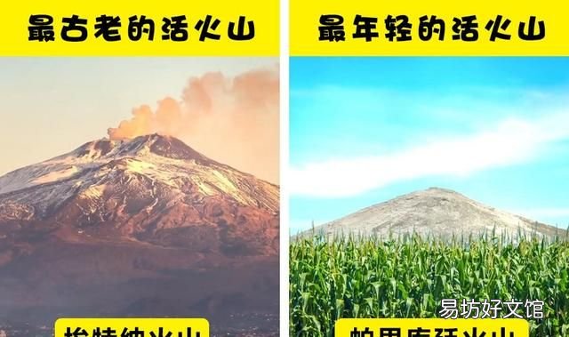 6个关于世上不同事物的极端比较