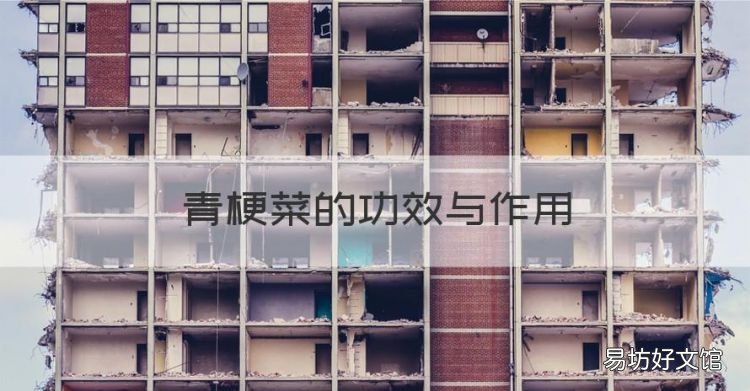 青梗菜的功效与作用,农村不起眼的野菜有哪些