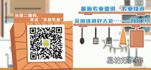 请看蔬菜采后贮藏保鲜技术大全,蔬菜保鲜技术大全