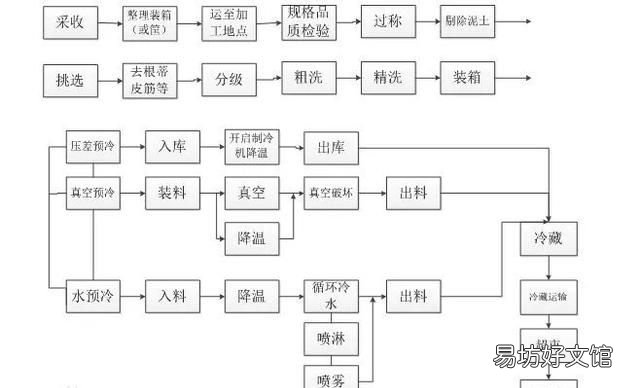 请看蔬菜采后贮藏保鲜技术大全,蔬菜保鲜技术大全
