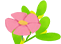 请看蔬菜采后贮藏保鲜技术大全,蔬菜保鲜技术大全