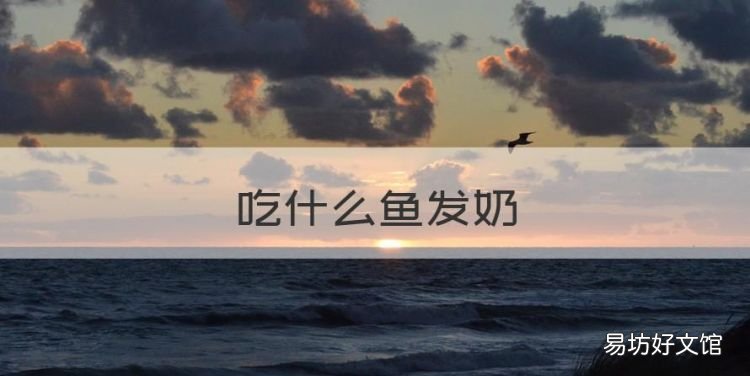 吃什么鱼发奶,下奶的鱼有哪些 哺乳期