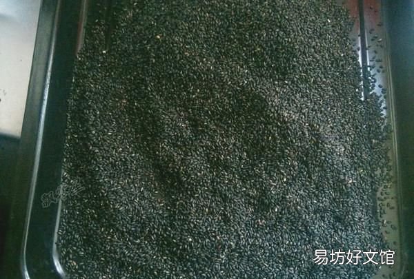 自己在家也能做阿胶糕