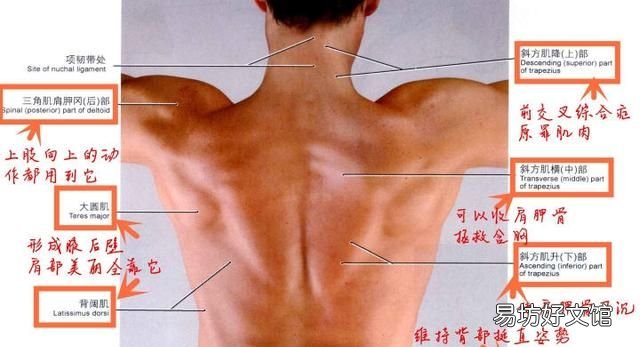 游泳之前先熱身有什么好處