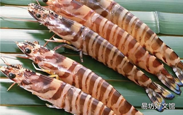 干海虾米的简单最佳吃法 快来看看吧海虾的正确食用方式
