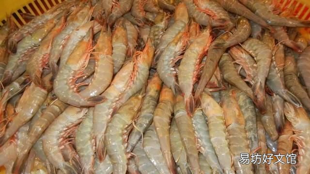 干海虾米的简单最佳吃法 快来看看吧海虾的正确食用方式