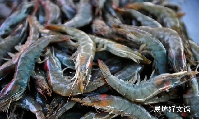 干海虾米的简单最佳吃法 快来看看吧海虾的正确食用方式