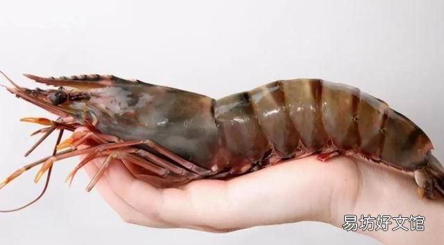 干海虾米的简单最佳吃法 快来看看吧海虾的正确食用方式