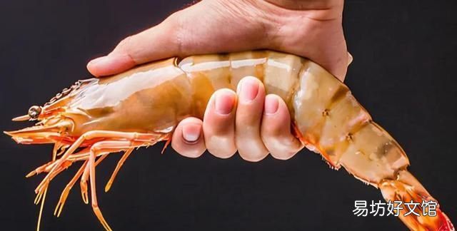 干海虾米的简单最佳吃法 快来看看吧海虾的正确食用方式