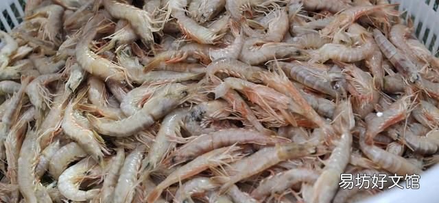 干海虾米的简单最佳吃法 快来看看吧海虾的正确食用方式