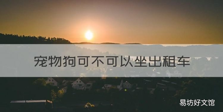 宠物狗可不可以坐出租车,出租车可以带宠物上车吗