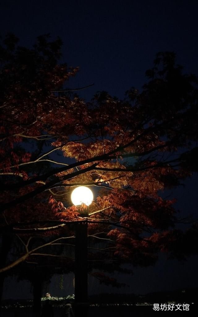 春江花月夜赏析,春江花月夜赏析