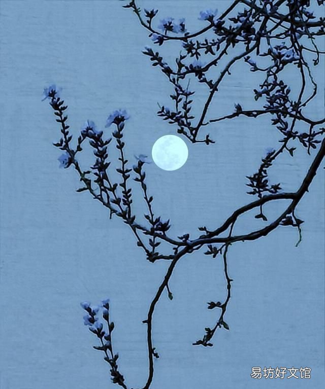 春江花月夜赏析,春江花月夜赏析